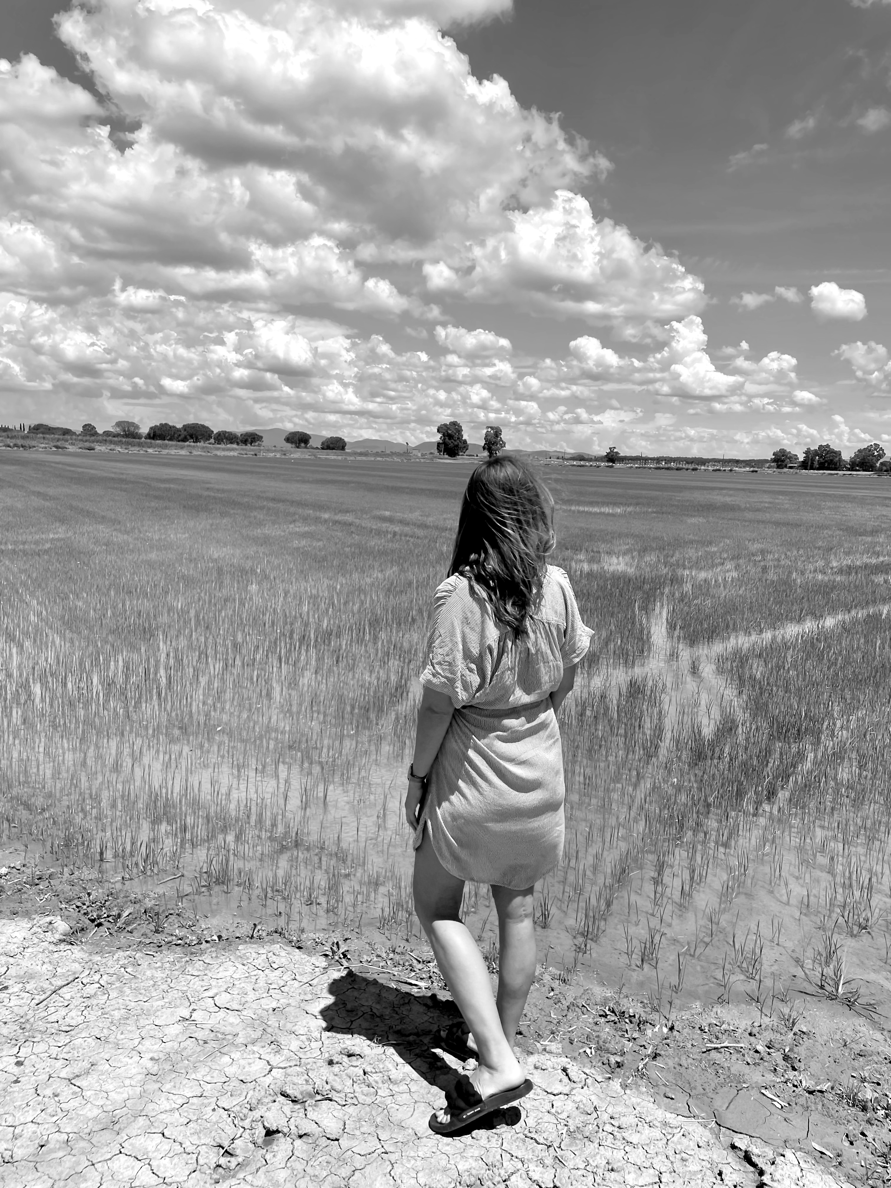 A solo traveler looking out over a scenic view, back to camera
